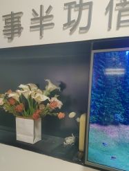 -杨益美学·野生眉半永久纹眉发际线