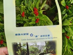 -广州花园酒店-凌璇阁360度高空海鲜自助餐CAROUSEL