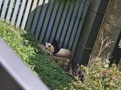 -黔灵山公园