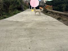 -大罗山风景区
