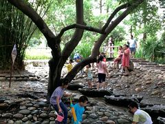 -成都市活水公园