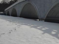 -北陵公园