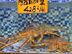 -顺德了能馆(虎门店)