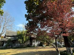 -梅园