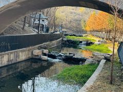 -白水寺森林公园