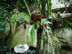 -南山植物园