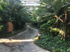 -南宫温泉水世界