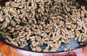 Salted Oil Zanzi