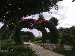 -东莞植物园