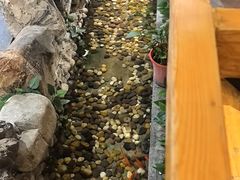 -清真·京华源铜锅涮肉(丰庆店)