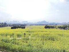 -光明小镇欢乐田园