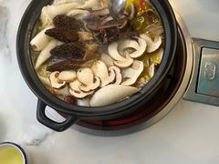 -蘑统田下·野生菌火锅