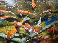 -太平洋海底世界