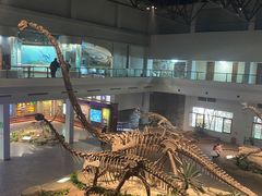 -自贡恐龙博物馆
