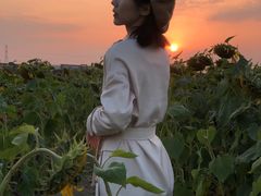 -映月湖中央公园