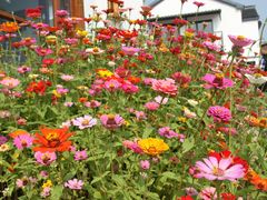 -厨娘CN(大行宫店)