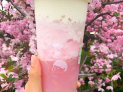 -喜茶(上海打浦桥日月光gelato lab+店)