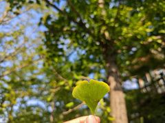 -长春公园(普阳街道)