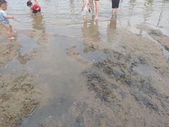 -碧海金沙