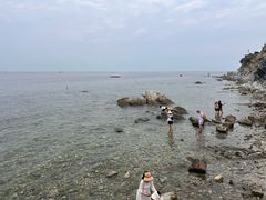 -养马岛旅游度假区