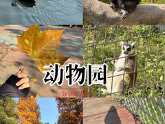 -南昌动物园