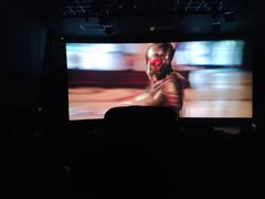 -奥斯卡升龙国际影城(RealD Cinema)