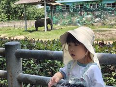 -西安秦岭野生动物园