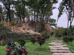 -深圳国际园林花卉博览园