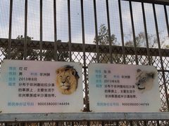 -昆明动物园
