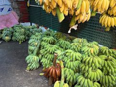 -新鸿港水果市场(三亚新鸿港国际商品交易中心店)