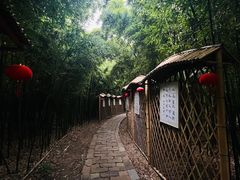 -同里国家湿地公园
