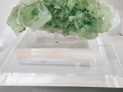 -中国地质大学逸夫博物馆