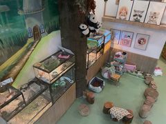 -藦茜花园宠物主题亲子互动体验馆(国顺东路店)