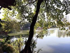 -荔湾湖公园