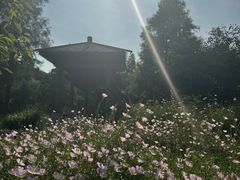 -同里国家湿地公园