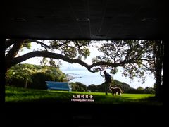 -成都百丽宫影城(LUXE太古里店)