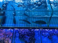 -金海湾海鲜排档(朱家尖店)