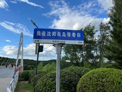 -沈阳鸟岛