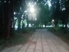 -光明港公园