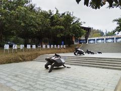 -广东惠东海龟国家级自然保护区