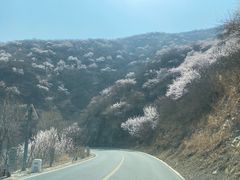 -妙峰山风景名胜区