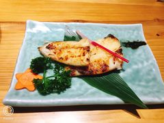 -锦鲤堂日本料理(莱茵之星店)