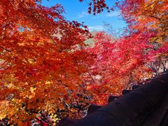 -三千院