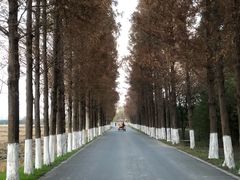 -嘉北郊野公园
