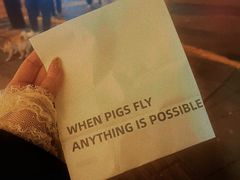 -WHEN PIGS FLY当猪飞