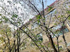 -上海财经大学(国定路校区)