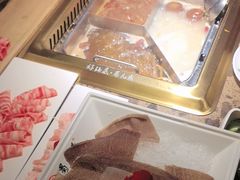 -蜀九鼎毛肚火锅(惠安店)