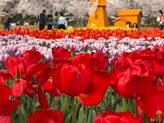 -苏州上方山国家森林公园