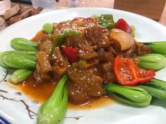砂锅牛蹄筋-清真双宝红油牛系列