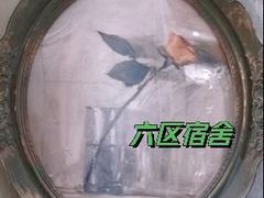 -六区宿舍咖啡店